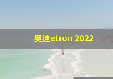 奥迪etron 2022